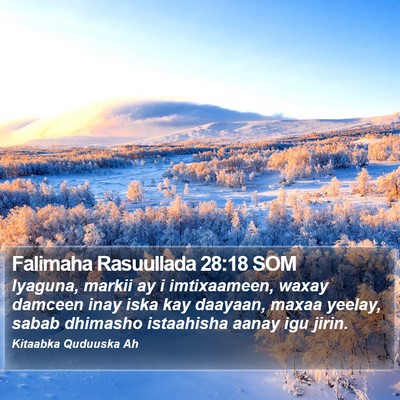 Falimaha Rasuullada 28:18 SOM Bible Verse Image