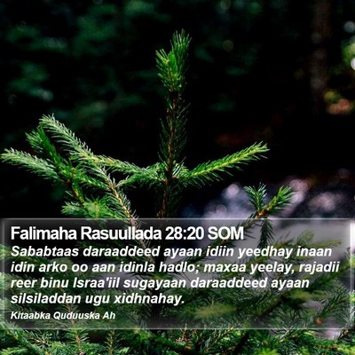 Falimaha Rasuullada 28:20 SOM Bible Verse Image