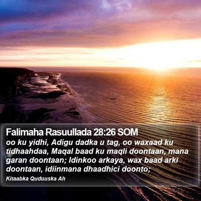 Falimaha Rasuullada 28:26 SOM Bible Verse Image