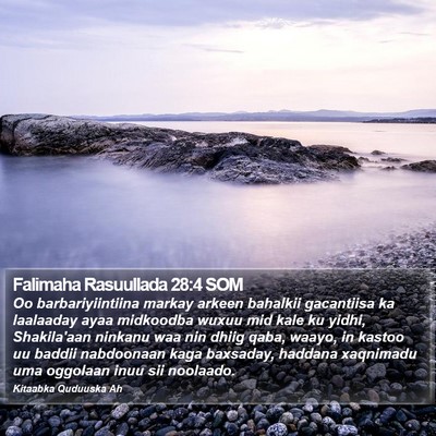 Falimaha Rasuullada 28:4 SOM Bible Verse Image
