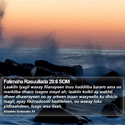 Falimaha Rasuullada 28:6 SOM Bible Verse Image