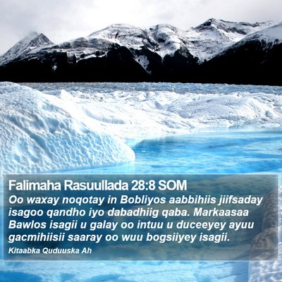 Falimaha Rasuullada 28:8 SOM Bible Verse Image