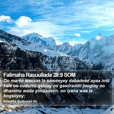Falimaha Rasuullada 28:9 SOM Bible Verse Image