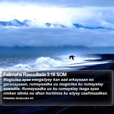 Falimaha Rasuullada 3:16 SOM Bible Verse Image