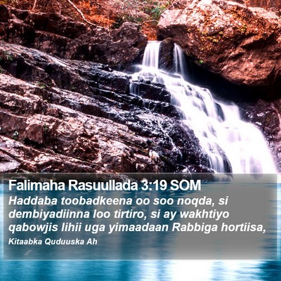 Falimaha Rasuullada 3:19 SOM Bible Verse Image