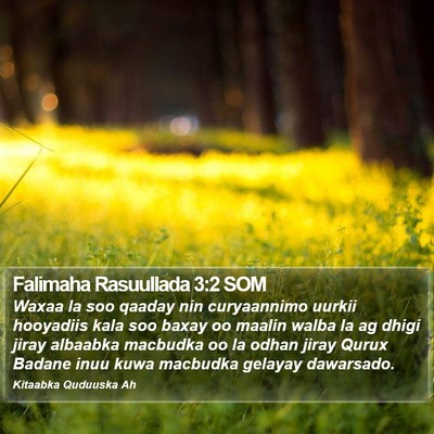 Falimaha Rasuullada 3:2 SOM Bible Verse Image