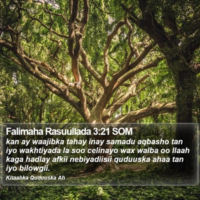 Falimaha Rasuullada 3:21 SOM Bible Verse Image