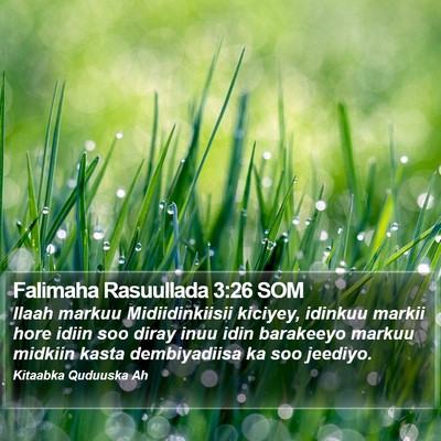 Falimaha Rasuullada 3:26 SOM Bible Verse Image