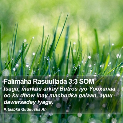 Falimaha Rasuullada 3:3 SOM Bible Verse Image