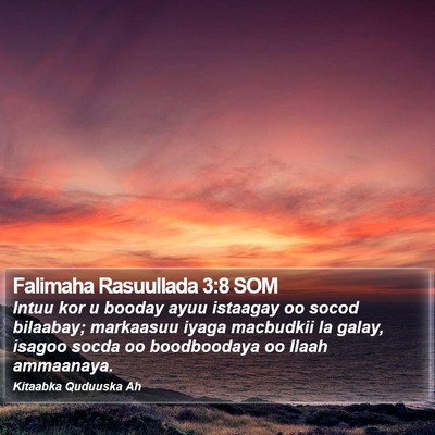 Falimaha Rasuullada 3:8 SOM Bible Verse Image