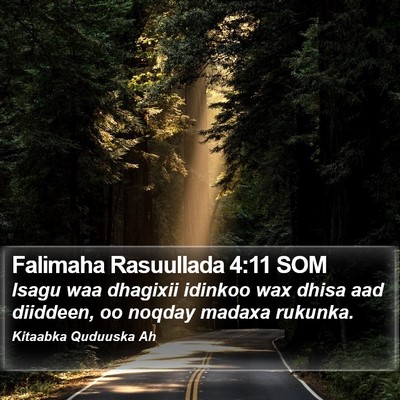 Falimaha Rasuullada 4:11 SOM Bible Verse Image