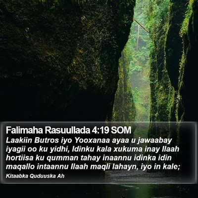 Falimaha Rasuullada 4:19 SOM Bible Verse Image