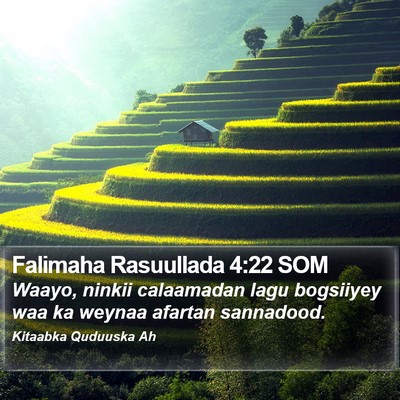 Falimaha Rasuullada 4:22 SOM Bible Verse Image