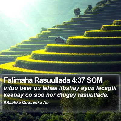 Falimaha Rasuullada 4:37 SOM Bible Verse Image
