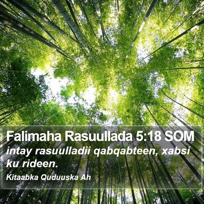 Falimaha Rasuullada 5:18 SOM Bible Verse Image