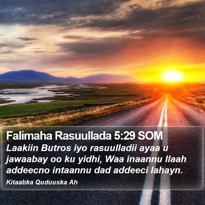 Falimaha Rasuullada 5:29 SOM Bible Verse Image
