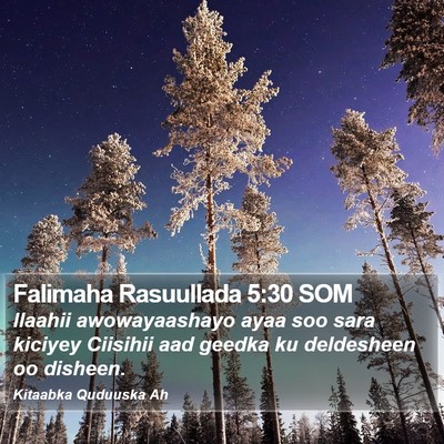Falimaha Rasuullada 5:30 SOM Bible Verse Image