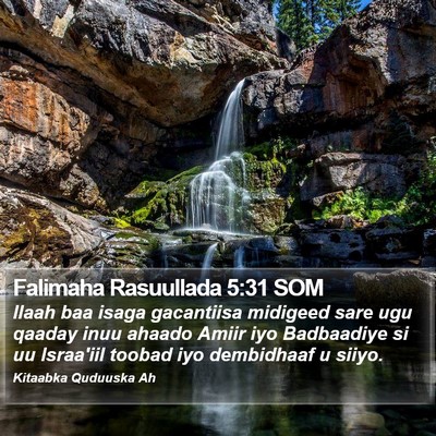 Falimaha Rasuullada 5:31 SOM Bible Verse Image