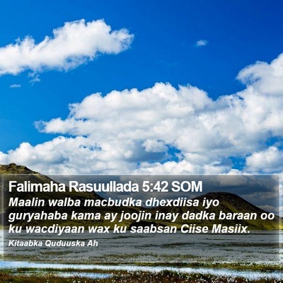 Falimaha Rasuullada 5:42 SOM Bible Verse Image