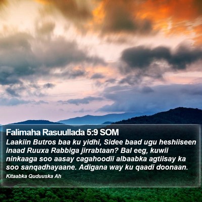 Falimaha Rasuullada 5:9 SOM Bible Verse Image