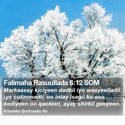 Falimaha Rasuullada 6:12 SOM Bible Verse Image
