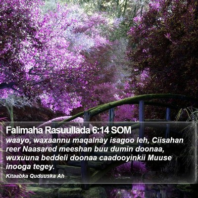 Falimaha Rasuullada 6:14 SOM Bible Verse Image