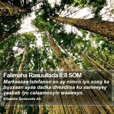 Falimaha Rasuullada 6:8 SOM Bible Verse Image