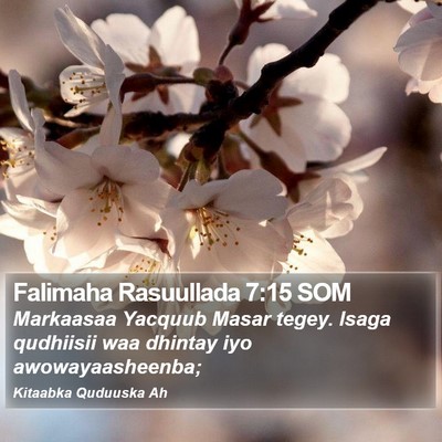 Falimaha Rasuullada 7:15 SOM Bible Verse Image