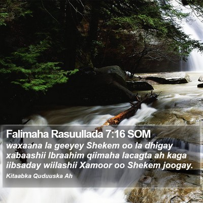 Falimaha Rasuullada 7:16 SOM Bible Verse Image