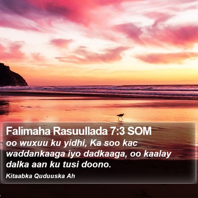 Falimaha Rasuullada 7:3 SOM Bible Verse Image