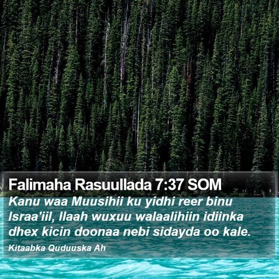 Falimaha Rasuullada 7:37 SOM Bible Verse Image