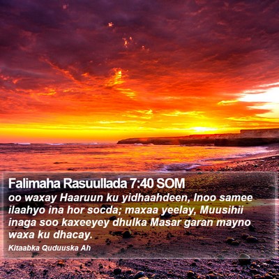 Falimaha Rasuullada 7:40 SOM Bible Verse Image