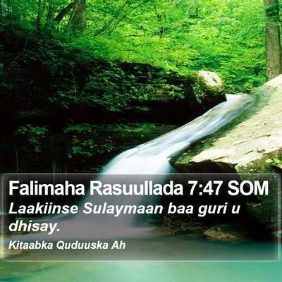 Falimaha Rasuullada 7:47 SOM Bible Verse Image