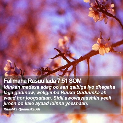 Falimaha Rasuullada 7:51 SOM Bible Verse Image