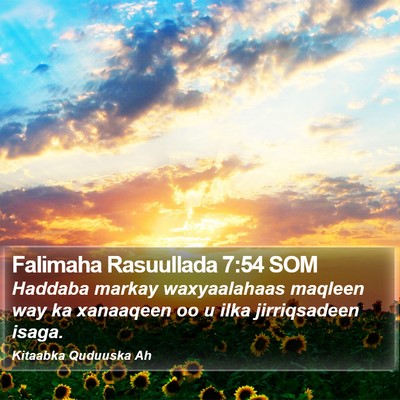 Falimaha Rasuullada 7:54 SOM Bible Verse Image