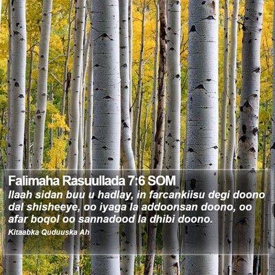 Falimaha Rasuullada 7:6 SOM Bible Verse Image