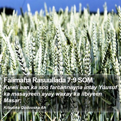 Falimaha Rasuullada 7:9 SOM Bible Verse Image