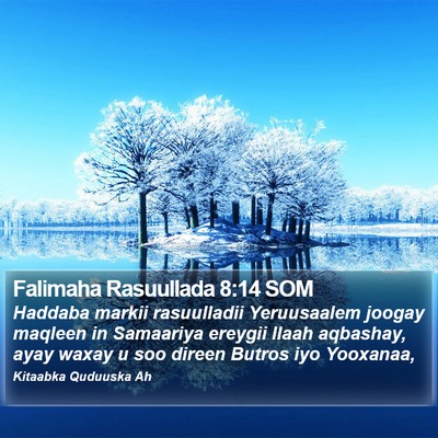 Falimaha Rasuullada 8:14 SOM Bible Verse Image