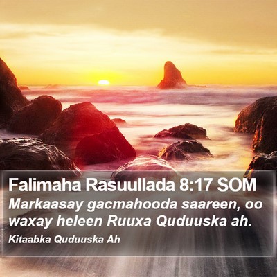 Falimaha Rasuullada 8:17 SOM Bible Verse Image