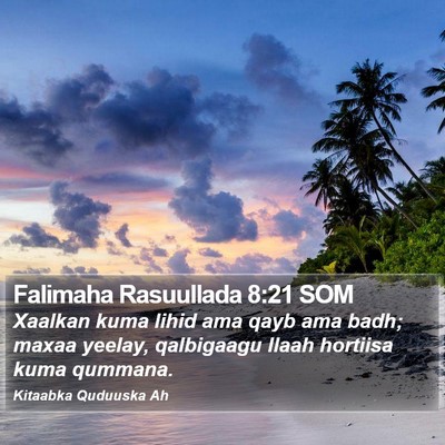 Falimaha Rasuullada 8:21 SOM Bible Verse Image