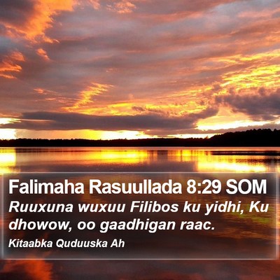 Falimaha Rasuullada 8:29 SOM Bible Verse Image