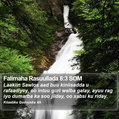 Falimaha Rasuullada 8:3 SOM Bible Verse Image