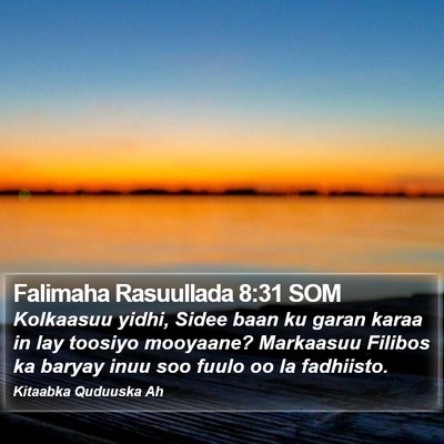 Falimaha Rasuullada 8:31 SOM Bible Verse Image