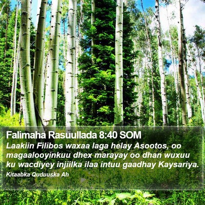 Falimaha Rasuullada 8:40 SOM Bible Verse Image