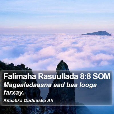 Falimaha Rasuullada 8:8 SOM Bible Verse Image