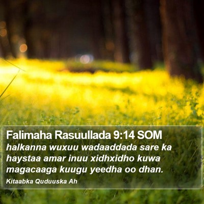 Falimaha Rasuullada 9:14 SOM Bible Verse Image