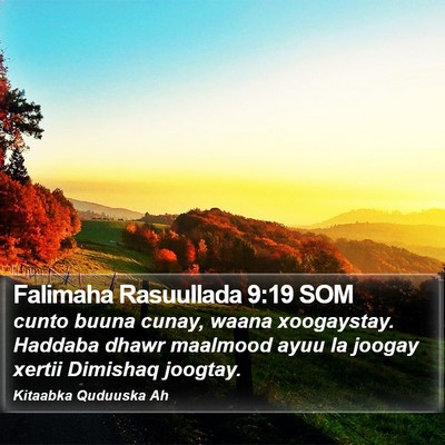 Falimaha Rasuullada 9:19 SOM Bible Verse Image