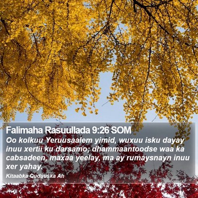 Falimaha Rasuullada 9:26 SOM Bible Verse Image