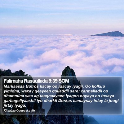 Falimaha Rasuullada 9:39 SOM Bible Verse Image