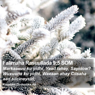 Falimaha Rasuullada 9:5 SOM Bible Verse Image